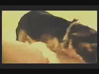 Dog fucking a hot slut with its huge cock